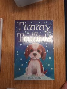 Timmy in Trouble