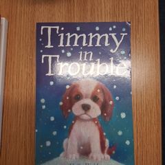 Timmy in Trouble