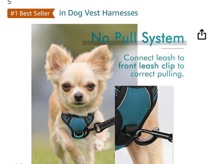 Dog harness by Rabbit Goo