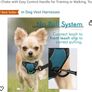 Dog harness by Rabbit Goo Image 5