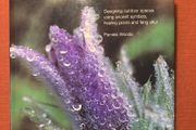 Gardens for the Soul gardening book