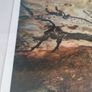 Vintage Braun et CIE Le Lascaux caves Image 5