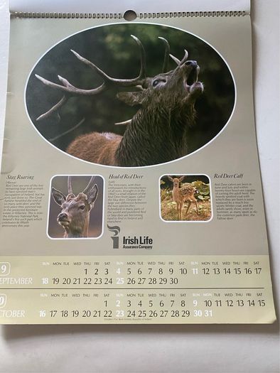 Vintage corporate promotional calendar from the 1980s of wildlife