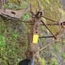 Single durrow plough Image 2