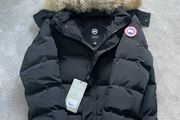 canada goose