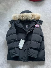canada goose