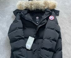 canada goose