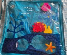 Baby Einstein water play mat