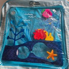 Baby Einstein water play mat
