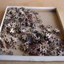 Seaboard Irish-made vintage plywood jigsaw puzzle "A Rare Piece" Image 8