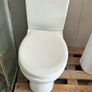 Dual flush toilet back to wall toilet Image 2