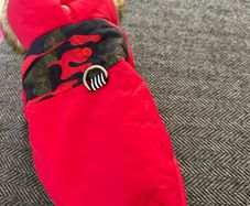 Small dog jacket