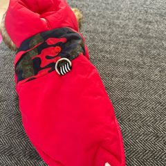 Small dog jacket