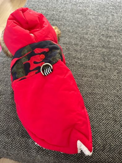 Small dog jacket