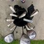 Regal golf clubs Image 2