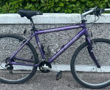 Claudebutler bicycle for sale