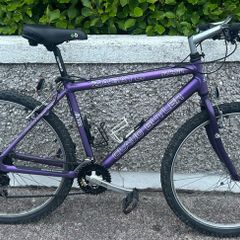Claudebutler bicycle for sale