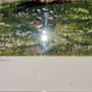 Michael Mann  Insch Artist Framed Watercolour Image 7