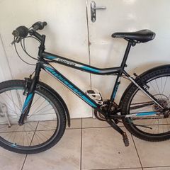Sierra Mountain Bike