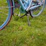 Ladies Bicycle Image 5
