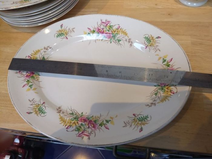 Beautiful 1950s Almost Complete Dinner Service by Arklow Pottery in Pattern Number 2508