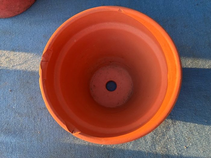 2 terracotta pots and 1 plastic hanging basket