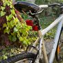 Men's Felt Hybrid Bike Shimano 21 Speed Image 6