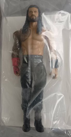 WWE Action Figure & Ring