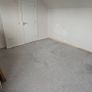 Carpet for free Image 2
