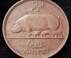 Ireland - 1943 - Half Penny - KM.10 - [974]