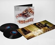 Kate Bush The Directors Cut Double Vinyl
