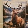 3 framed printed canvas 45x65cm Image 5