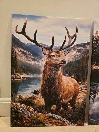 3 framed printed canvas 45x65cm