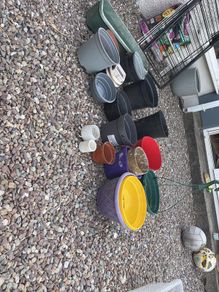 plant pots free