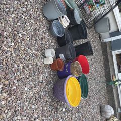 plant pots free