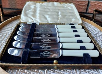 Vintage Boxed Set Of Newbridge Butter Knives x 6