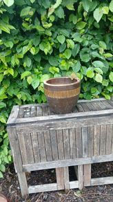 garden pots