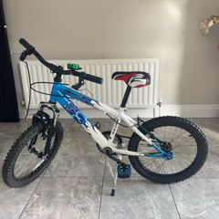 kids Raleigh 20" MTB