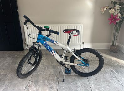 kids Raleigh 20" MTB