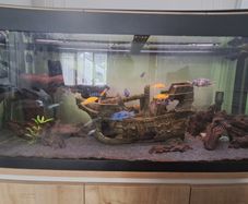 fluval roma 200ltr