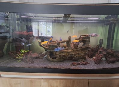 fluval roma 200ltr