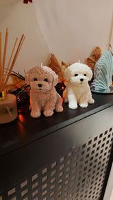 Dog soya candle