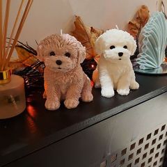 Dog soya candle