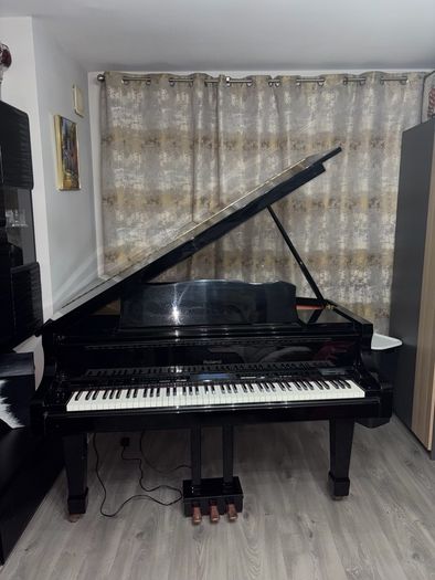 Digital Baby Grand Piano