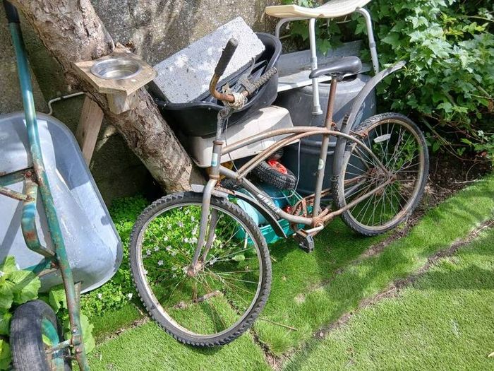 beach cruiser bike