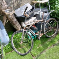 beach cruiser bike