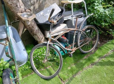 beach cruiser bike