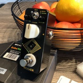 MOOER EchoVerb digital delay & reverb mini pedal