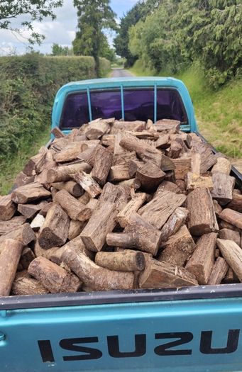 Firewood