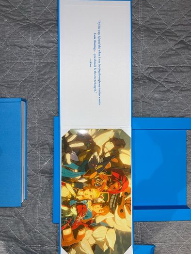 The Legend of Zelda Breath of the Wild Creating a Champion Hero's Edition